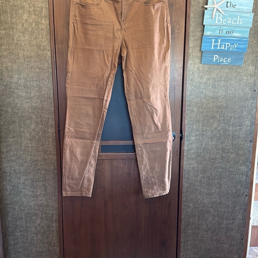 Style & Co. Women's Brown Skinny Leg Jeans